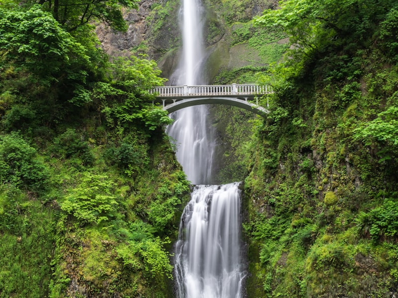太湖景观石